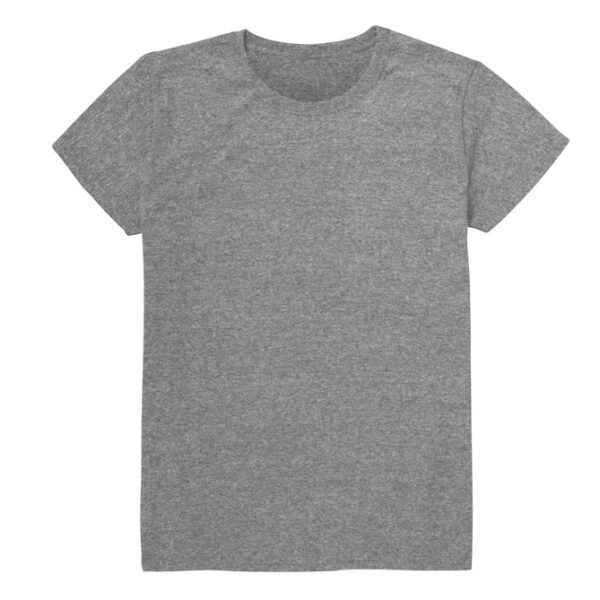 Light Gray T Shirt